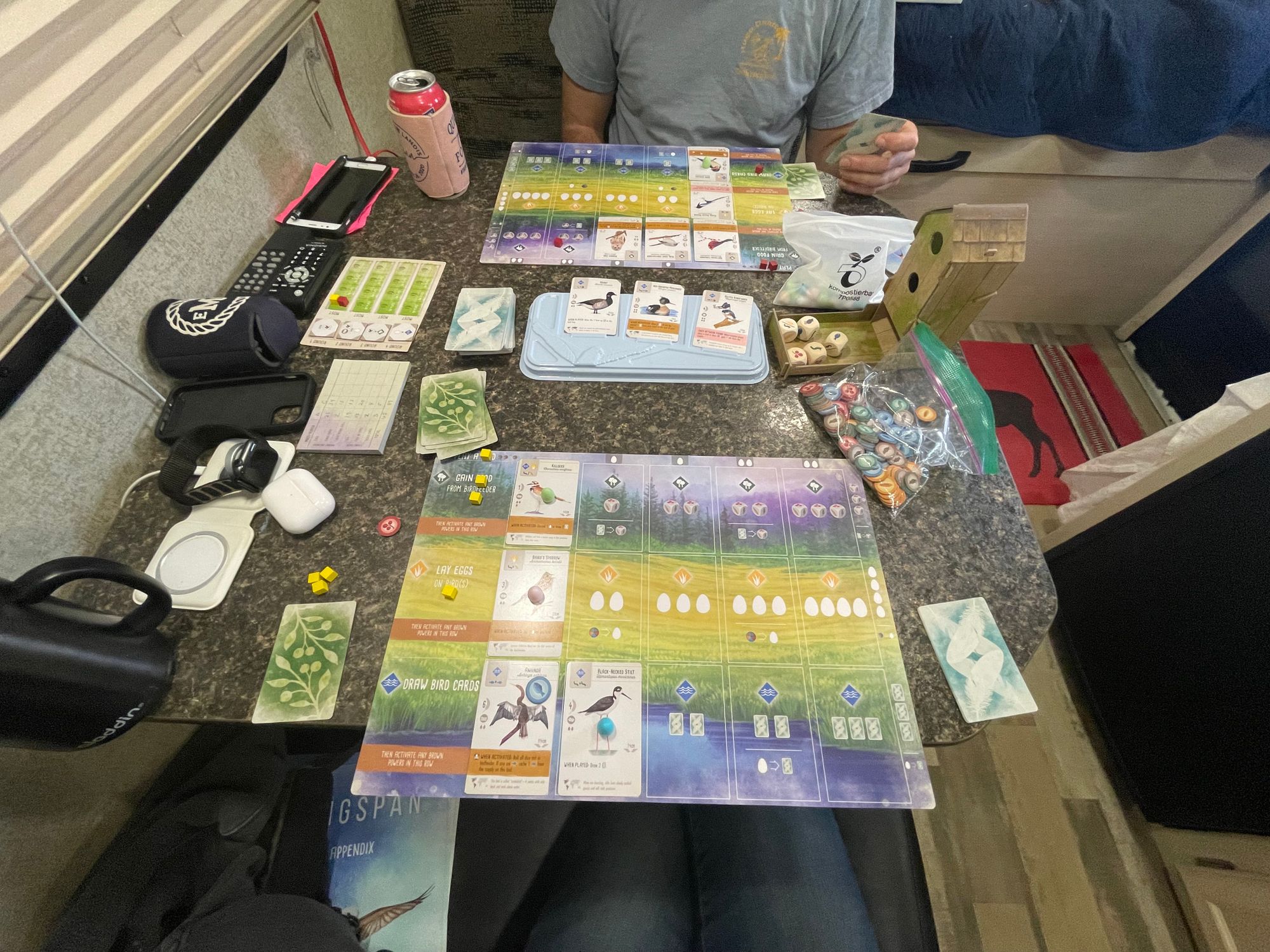 Two-player wingspan board game in progress.