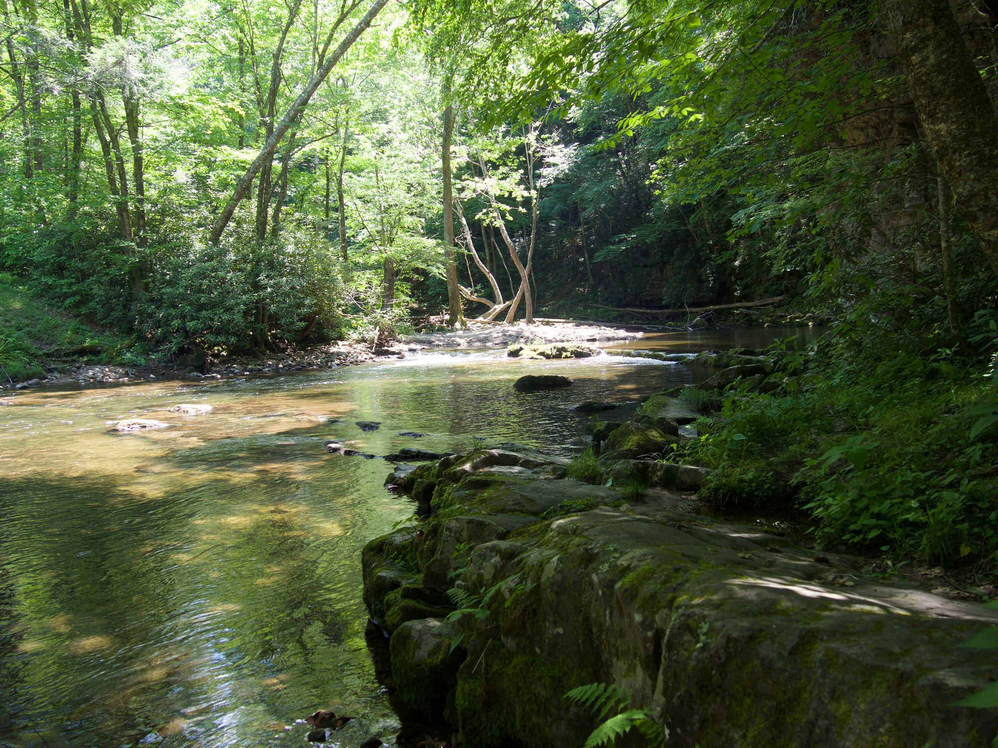 Creek with large rocks on the bank and lots of trees overhead.