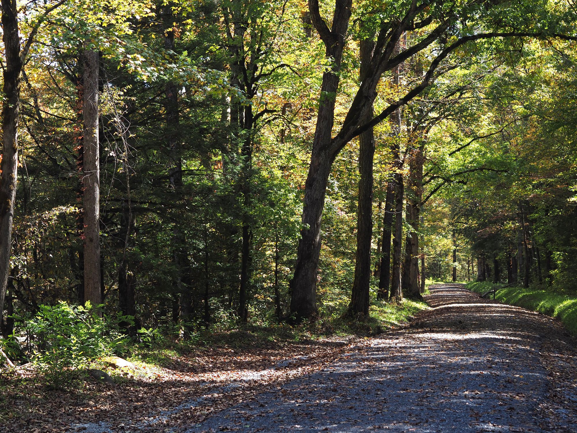 Weekend at Greenbrier Campground & Gatlinburg