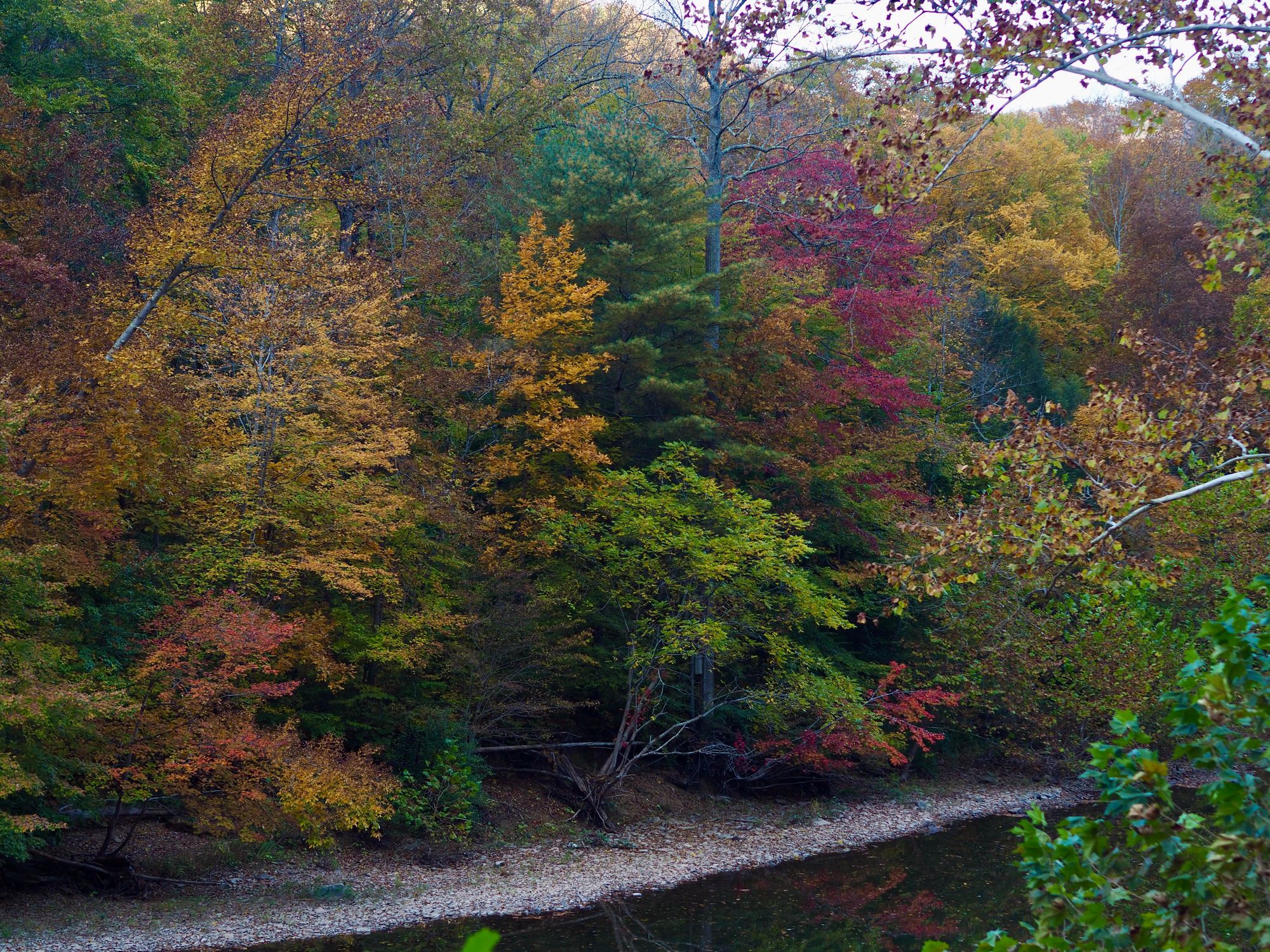 Bike camping the Greenbrier River Trail