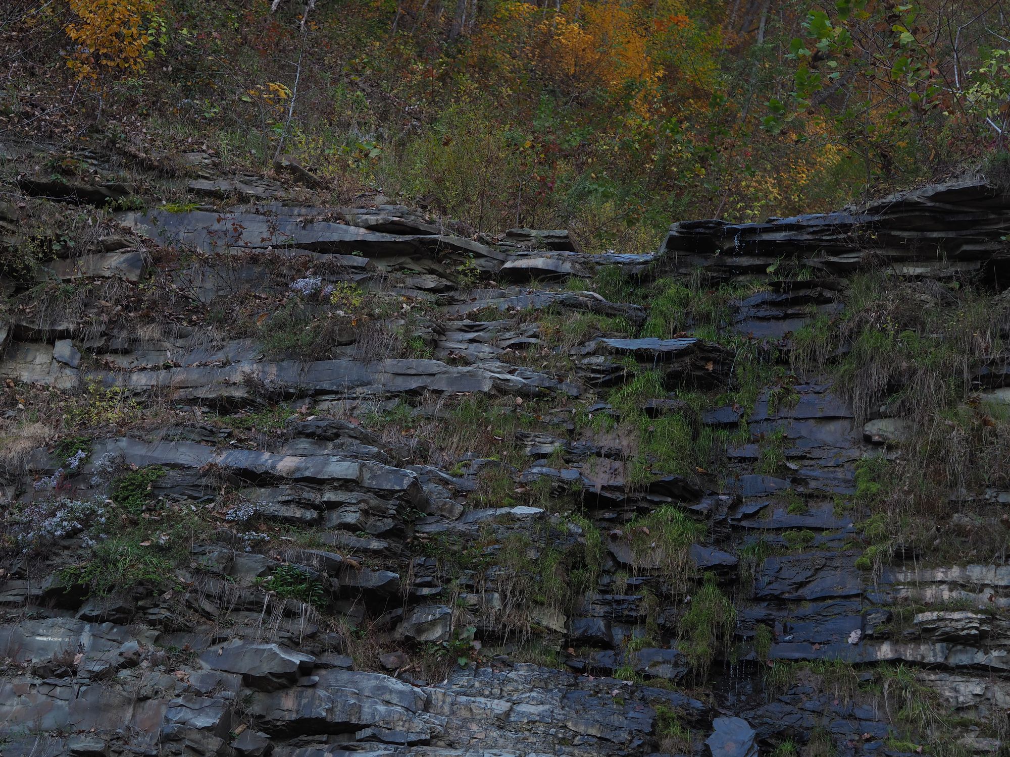 Bike camping the Greenbrier River Trail