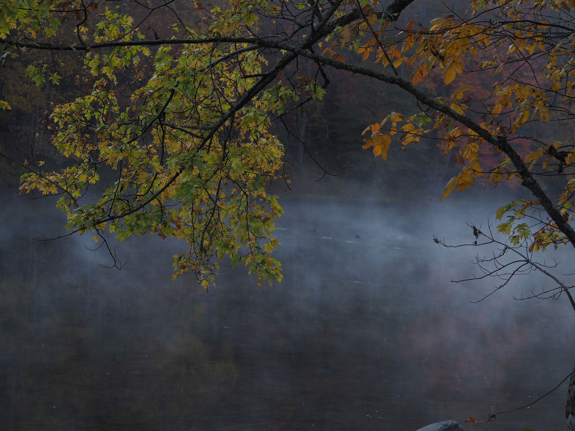 Bike camping the Greenbrier River Trail