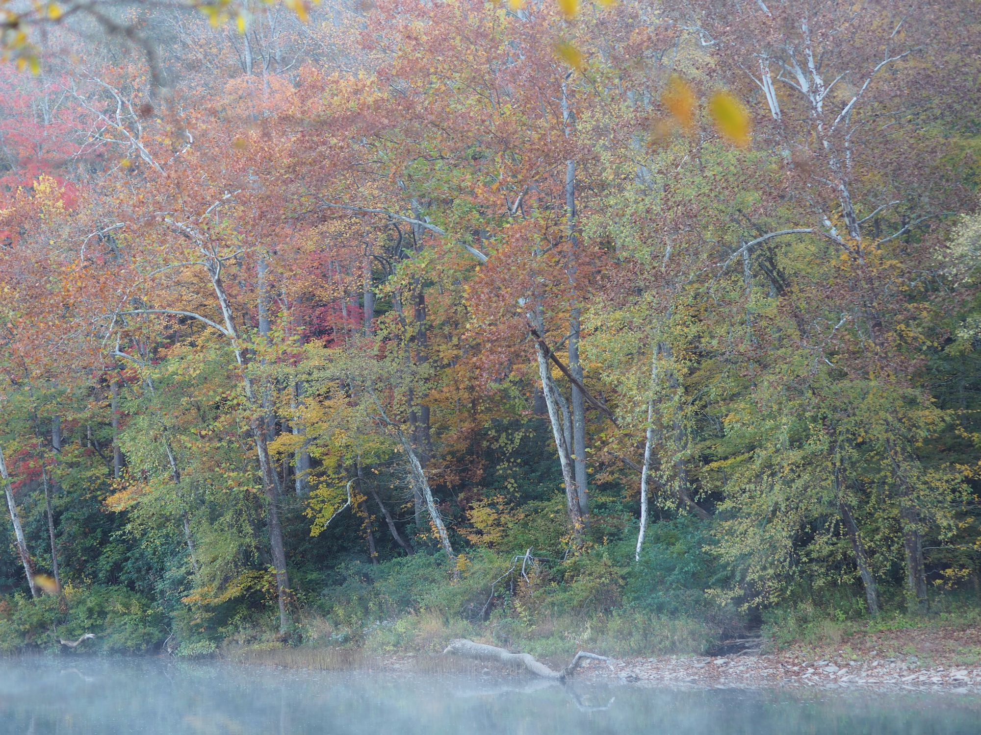 Bike camping the Greenbrier River Trail