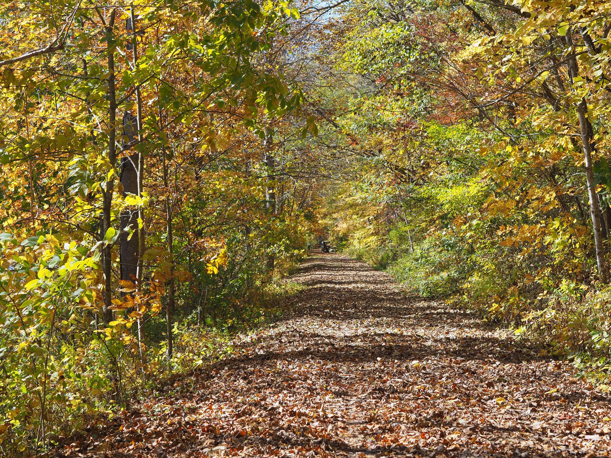 Bike camping the Greenbrier River Trail