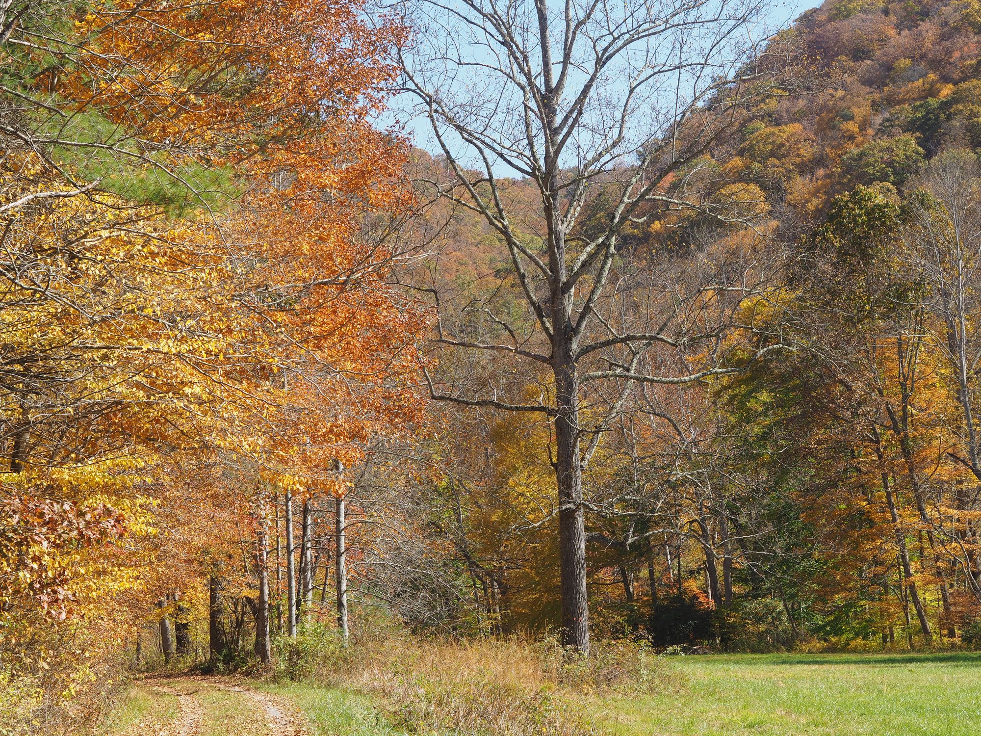 Bike camping the Greenbrier River Trail