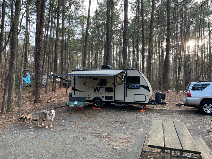 Winnebago Micro Minnie travel trailer. Two dogs are standing outside