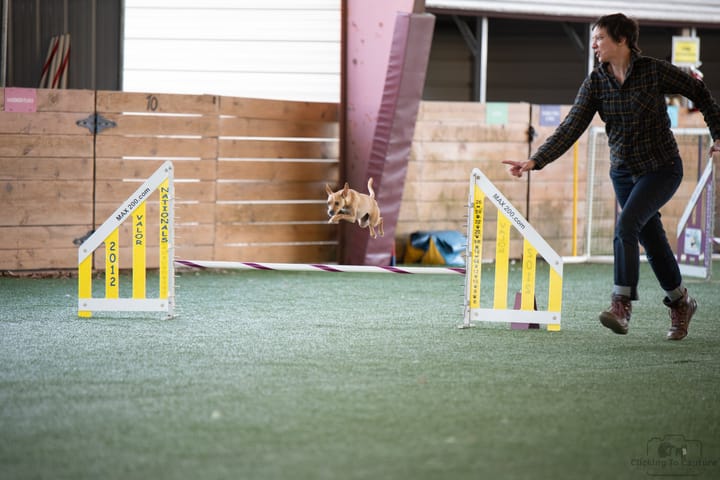 Me running alongside Jean as she jumps way too high over an agility jump.