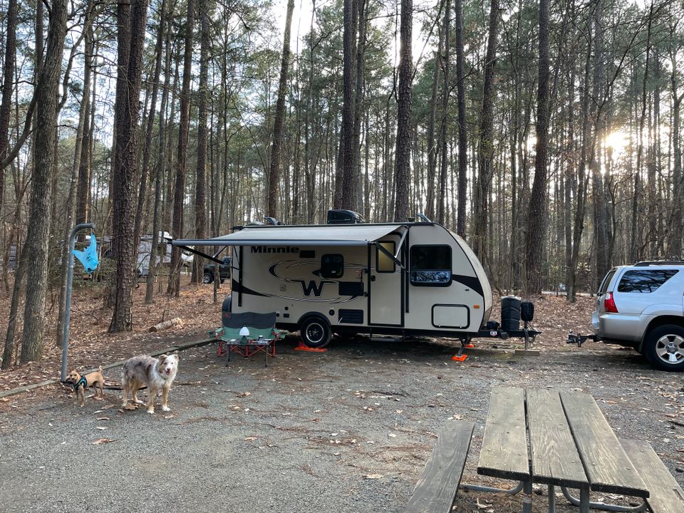 Winnebago Micro Minnie travel trailer. Two dogs are standing outside