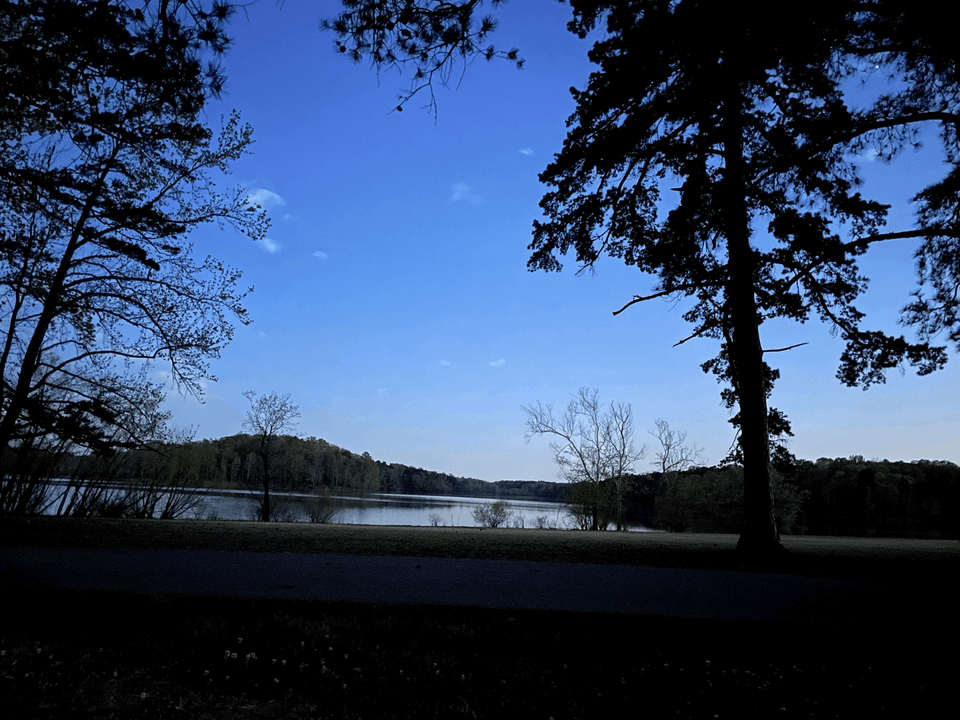 View of the lake with trees framing either side. There's a blue tone to the entire photo.